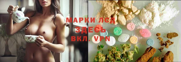 дурь Сатка