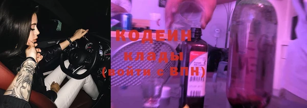 прущие грибы Алексеевка