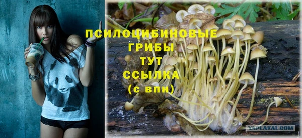 прущие грибы Алексеевка