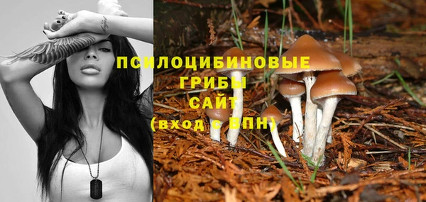 ALPHA-PVP Алексин