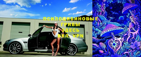 прущие грибы Алексеевка