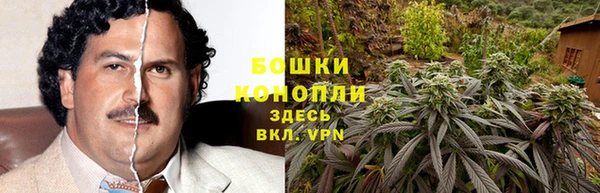прущие грибы Алексеевка