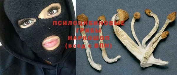 прущие грибы Алексеевка