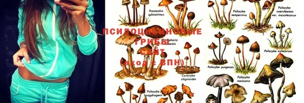 гидропоника Саяногорск