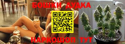 крисы Кунгур