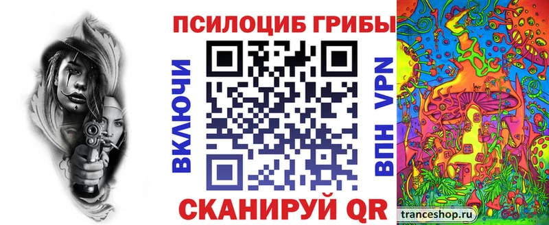 где купить наркоту  Заинск  Псилоцибиновые грибы Magic Shrooms 