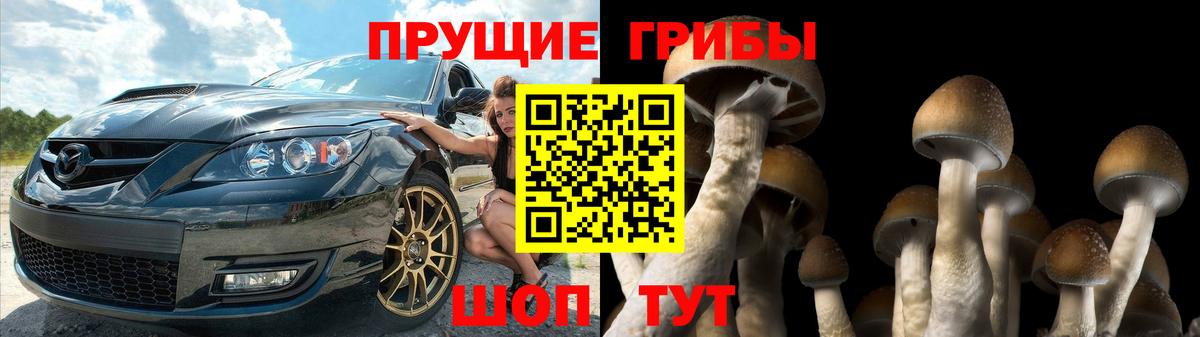 Заинск  Псилоцибиновые грибы Cubensis  где продают   Псилоцибиновые грибы Psilocybine cubensis  Вход с VPN 